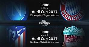 Audi Cup 2017 live im Ersten