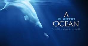 A Plastic Ocean Official Trailer