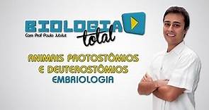 Animais Protostômios e Deuterostômios - Embriologia - Prof. Paulo Jubilut