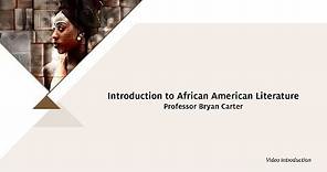 Introduction to African American Literature - Bryan Carter