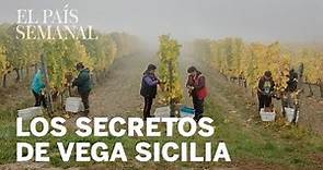 El misterio de Vega Sicilia | Reportaje | El País Semanal