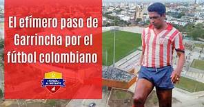 El efímero paso de Garrincha por el fútbol colombiano