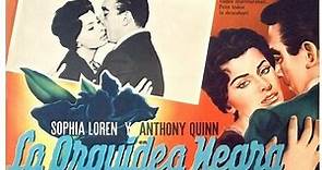 Película La Orquídea Negra ( 1958 ) - D.Latino