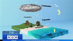 Science of Weather: Water Cycle