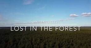 Winsen (Aller) - Lost in the Forest