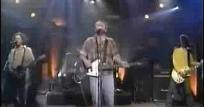 Mike Watt - The Red and the Black [4-28-95]