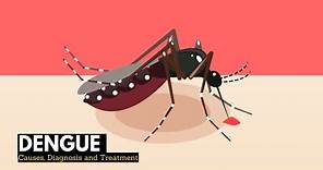 What is Dengue? Causes, Signs and Symptoms, Diagnosis and treatment.