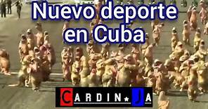 Nuevo deporte en Cuba CARDINJA