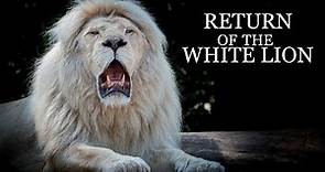 The Return of the White Lion - Teaser trailer