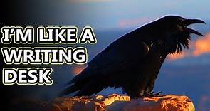 Raven facts: are they just big crows? | Animal Fact Files