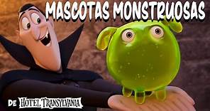 HOTEL TRANSYLVANIA: TRANSFORMANÍA | "Mascotas monstruosas"