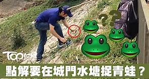 城門水塘捉蛙男出沒 又插又挖喪捉青蛙 (有片) - 香港經濟日報 - TOPick - 新聞 - 社會