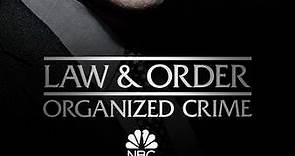 Law & Order: Organized Crime: Season 1 Episode 6 I Got This Rat