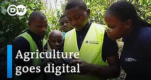 Ivory Coast's hope: Digital agriculture | Global Ideas