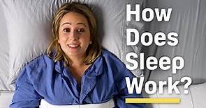 How Does Sleep Work and WHY Do We Need It?