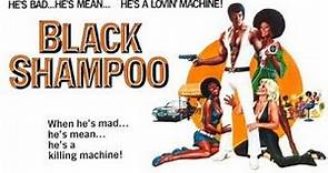Black Shampoo (1976) | Part 2 | John Daniels | Tanya Boyd | Joseph Carlo
