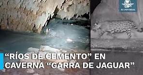 Reportan “ríos de cemento” en acuífero de caverna “Garra de Jaguar” sobre tramo 5 del Tren Maya