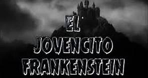 El jovencito Frankenstein Young Frankenstein (1974) castellano seriescuellar