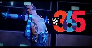 WWE 365: AJ Styles - Streaming Sunday after Survivor Series