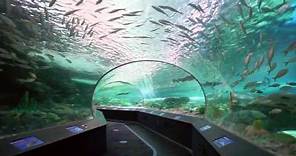 Ripley's Aquarium of Canada