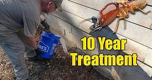 DIY Home Termite Treatment - Long Lasting