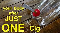 How Smoking Just 1 CIGARETTE Affects Your Lungs ● You Must See This !