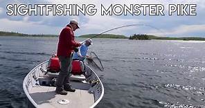Sight Fishing Monster Pike & Lake Trout On A Fly | Scott Lake