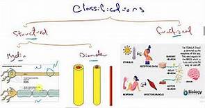 1- Nerve :- classification & properties of nerve