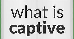 Captive | meaning of Captive