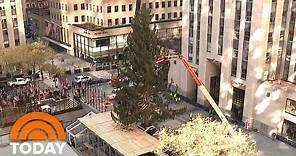 Rockefeller Christmas Tree 2020: Watch A Time-Lapse Video | TODAY