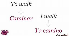 Basic Spanish | Lesson 6 | Forms of regular verbs (conjugation) - Use the right verb!