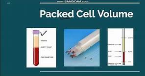 Packed cell volume/ Hematocrit