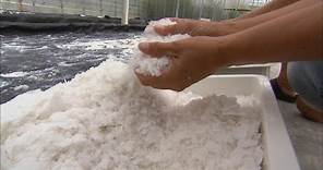 How Salt is Made | Localish