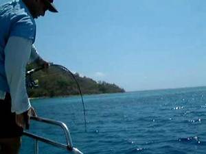 Giant Trevally - Maumere, Flores, Indonesia - Fishing Trip