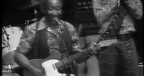 Muddy Waters - She's Nineteen Years Old - ChicagoFest 1981