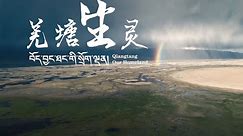 羌塘国家级自然保护区分布在西藏北部的那曲、阿里两个地市，是中国海拔最高、面积最大的自然保护区，被誉为“野生动物的乐园”。