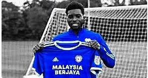 Sheyi Ojo - Cardiff City's New Startlet - All Goals and Assists 2020-21
