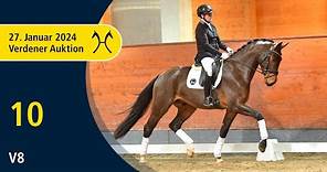 Verden Auction Online - Sporthorses - Jan. 27 - No. 10 V 8 by Valdiviani - Jazz
