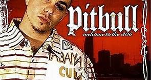 Pitbull - Welcome To The 305