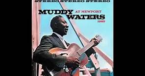 Muddy Waters at Newport 1960 (Full Album)