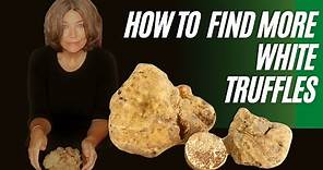 Finding White Truffles - How to level up as a white truffle hunter!