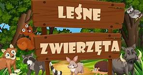 Zwierzęta w Lesie - Odgłosy Zwierząt - Zwierzęta dla dzieci po polsku