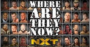 What Happened To EVERY Member Of WWE NXT's Original Roster?