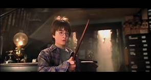La primera película de Harry Potter cumple 20 años | Video