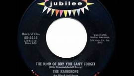 1963 HITS ARCHIVE: The Kind Of Boy You Can’t Forget - Raindrops