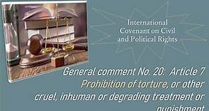 Prohibition of torture, or other cruel, inhuman or degrading treatment or punishment