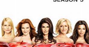 Desperate Housewives: Season 5 Episode 8 City on Fire
