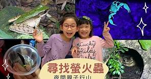 [香港郊遊] 大埔滘自然護理區| 第一次夜遊觀賞螢火蟲 | 蠍子牆🦂| 了解夜間生態 🐸| 齊來愛護大自然🌳 |親子行山👨‍👩‍👧‍👧