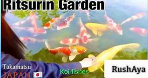 Ritsurin Garden SAKURA ( 栗林公園 さくら)