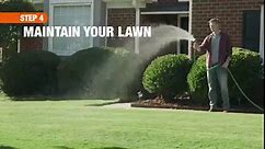 How to Ready Your Lawn for Spring